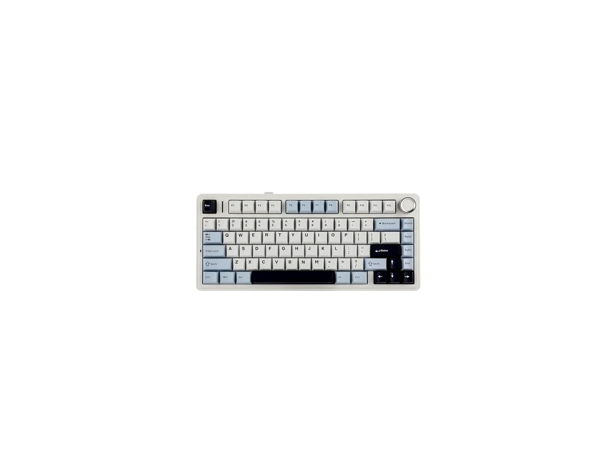 EPOMAKER x Sala de aula F75 75% Gasket teclado mecânico, sem fios/Bluetooth/USB-C, cinco camadas de almofadas, botão, RGB, bateria, NKRO (LEOBOG Reaper Switch, azul claro)